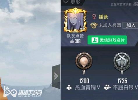 和平精英【逆境】辅助更新：新增防护插件，稳定体验再升及